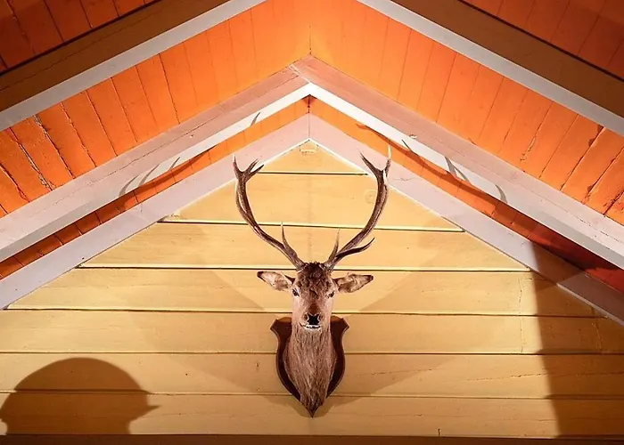 8 Person In Liabygda-by Traum Eidsdal